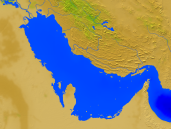 Persian Gulf Vegetation 1600x1200
